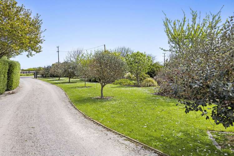 10 Arthur Street Hawera_31