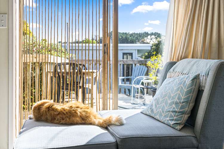 4 Seatoun Avenue Leigh_8