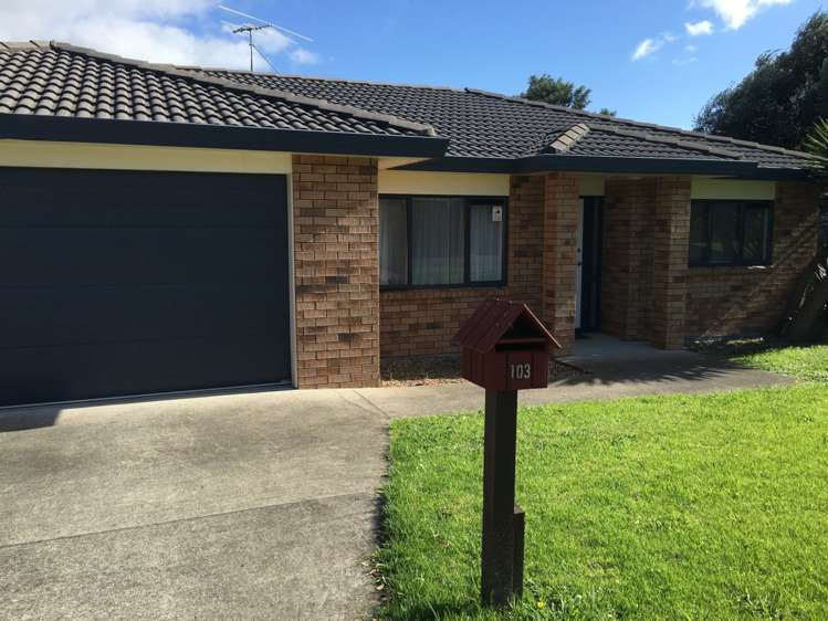 103 Palmers Road Clendon Park_10