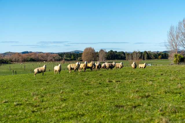 64B Opaki Kaiparoro Road Masterton_3