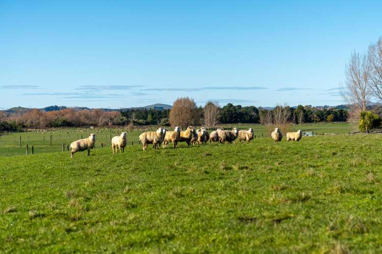 64B Opaki Kaiparoro Road Masterton_3