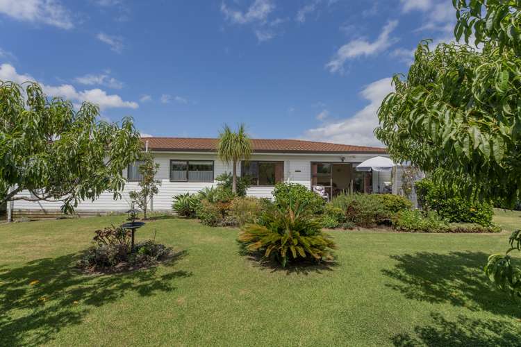 26 Springbok Ave Whitianga_21