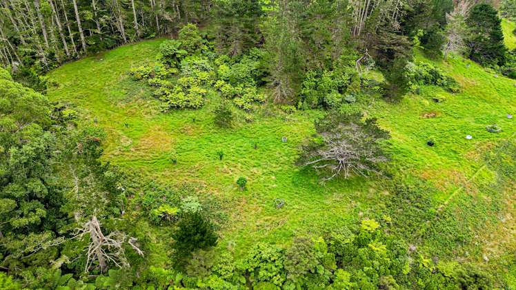 36 Caton Road Waitakere_16