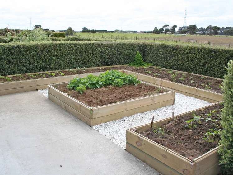 115 Mill Road South Seaward Bush_10