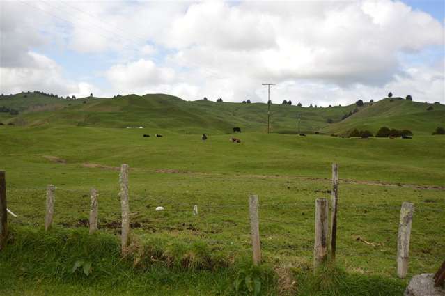 164 Taringamotu Road Taringamotu_2