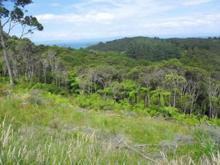 379b Cowes Bay Road Waiheke Island_5