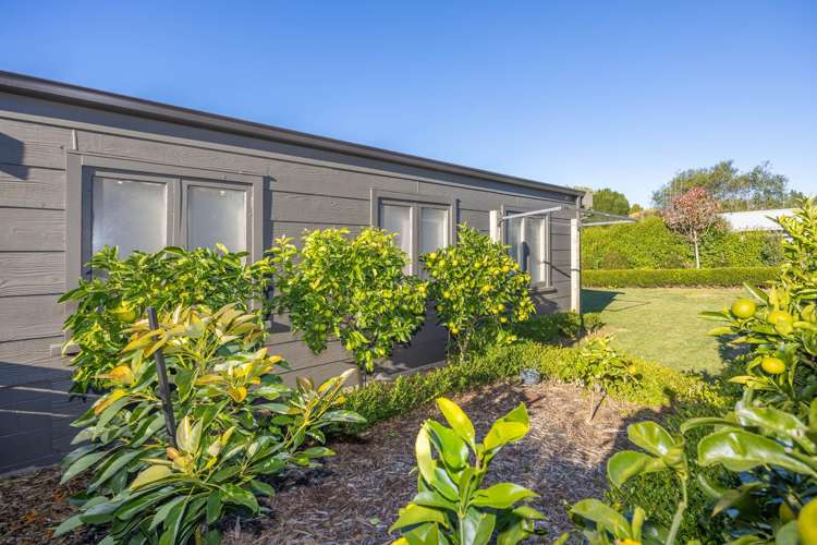 71 St Marys Avenue Te Awamutu_19