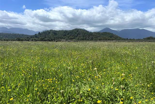 8026 State Highway 6 Charleston_4