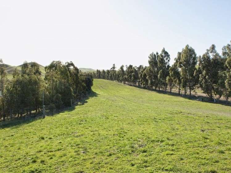 328 Caseys Road Seddon_15