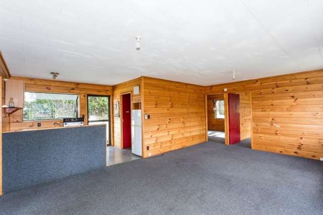 110 Buccleugh Street North East Valley_4