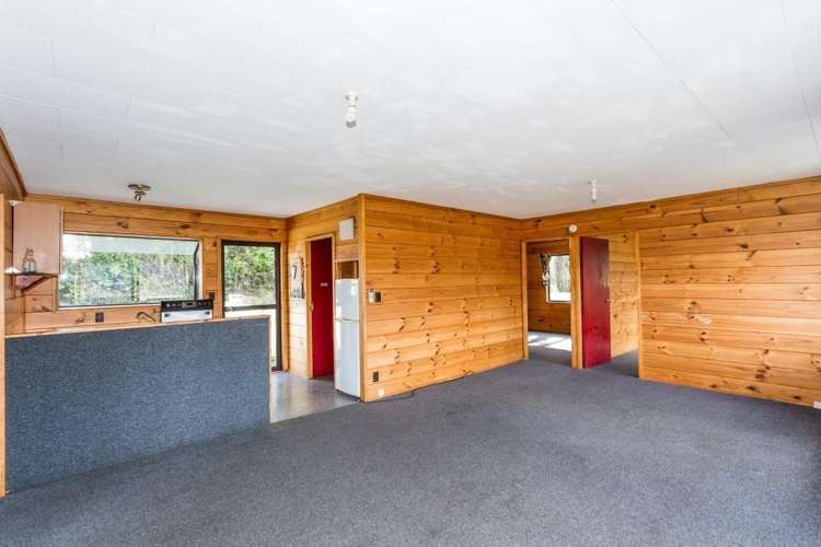 110 Buccleugh Street North East Valley_4