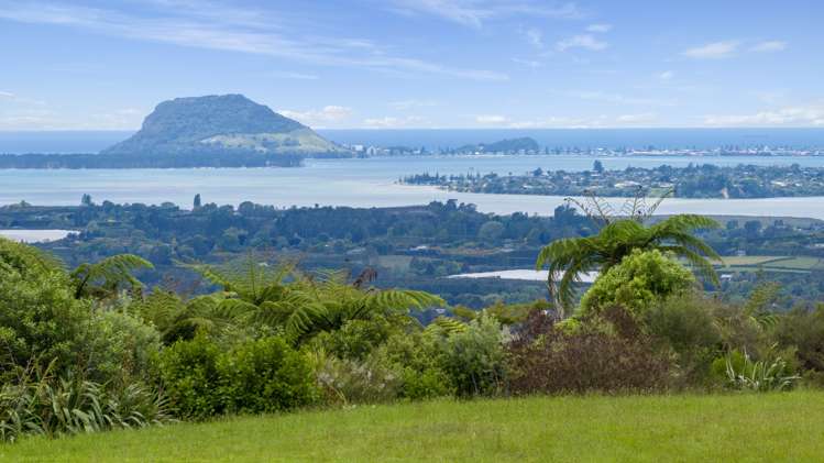 15 Pheasant Lane Wairoa_7