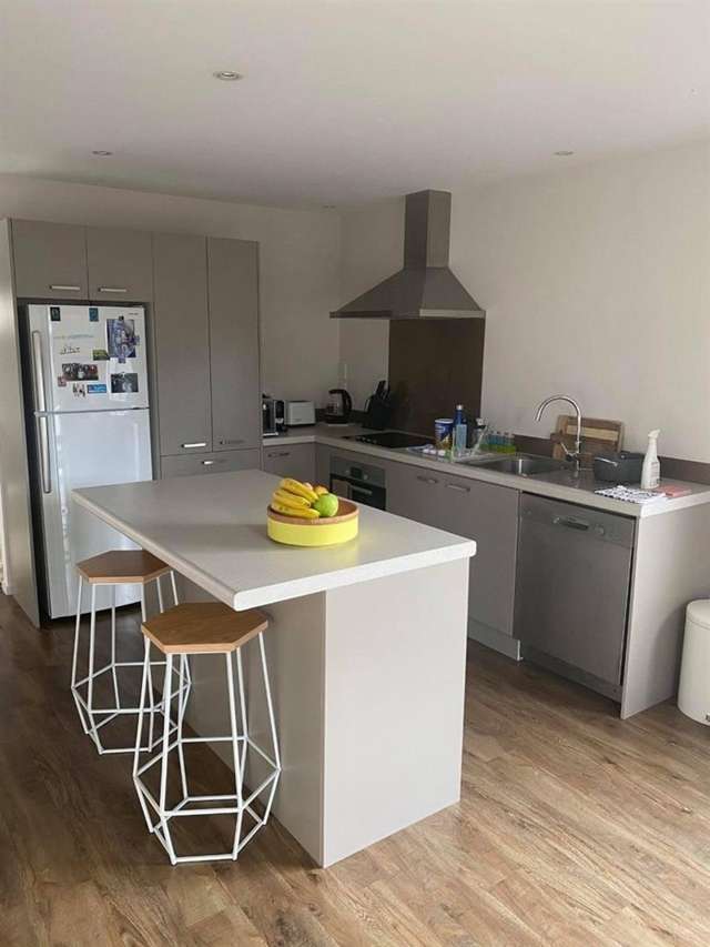 50 Elliot Street Howick_1