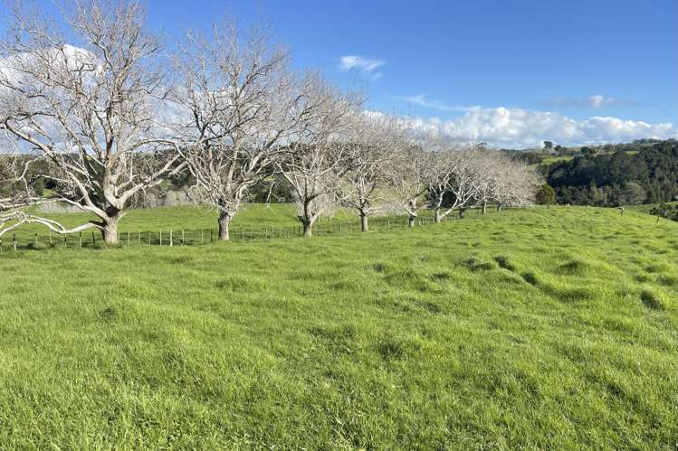 140 Te Arai Point Road Te Arai_17