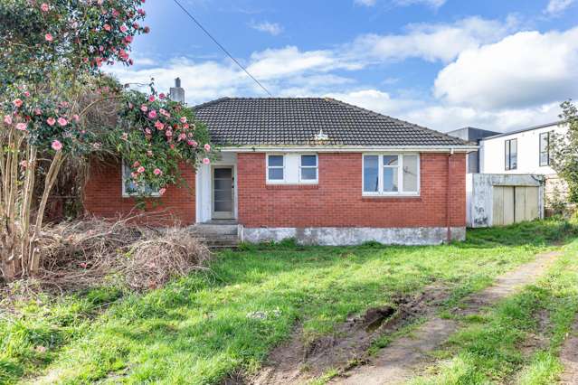 17 Mahoe Street Levin_1