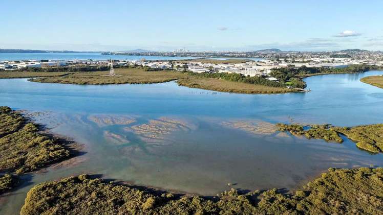 4 Meadow Crescent Te Atatu South_23