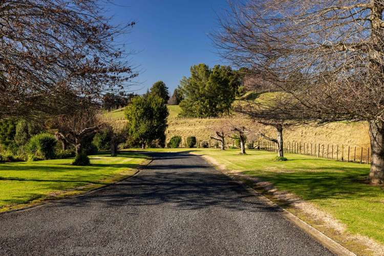 38 Youngson Road Whakamarama_20