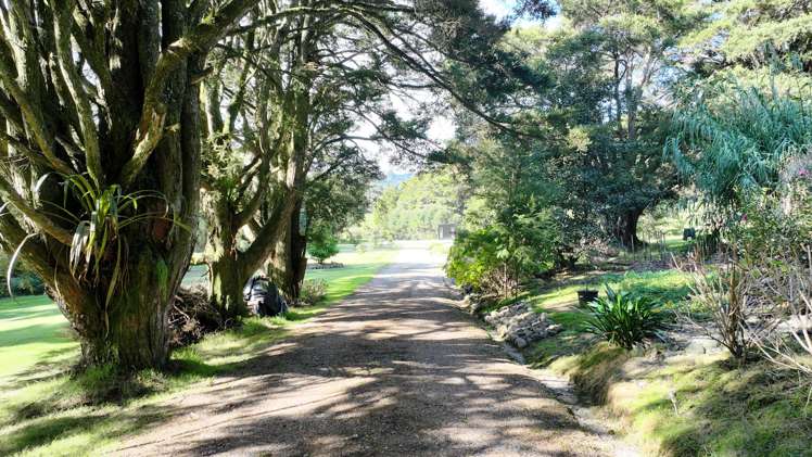 373 Fern Flat Road Peria_8