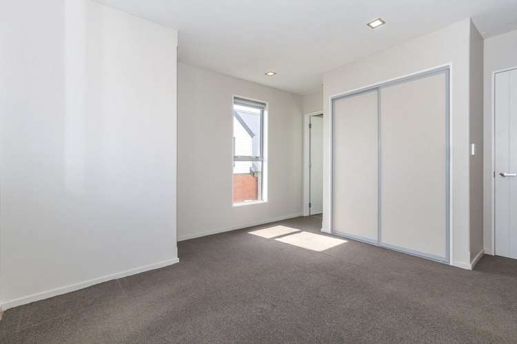 104 Strickland Street Sydenham_6