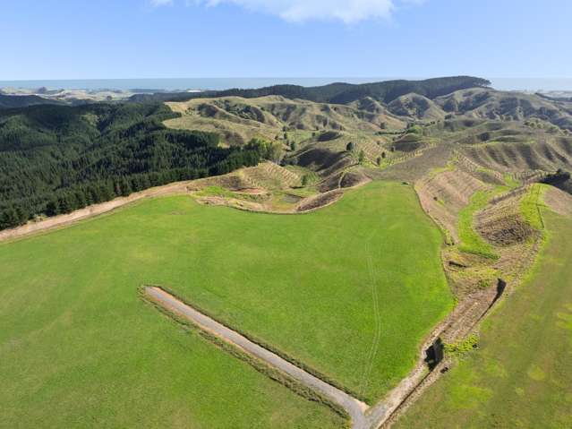 - Airstrip Road Pikowai_3