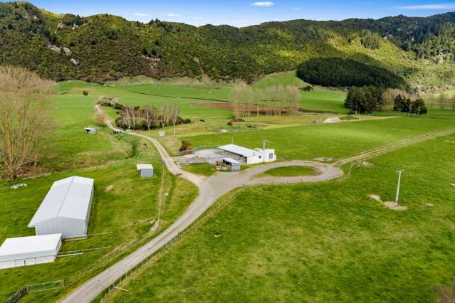 81 Te Kopia Road Waikite Valley_2