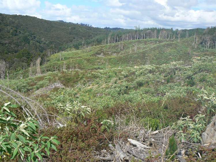 Taheke Road Horeke_14