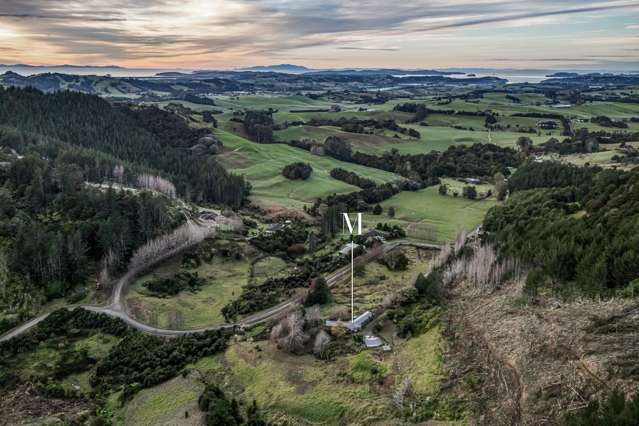 447 Wright Road Matakana_2