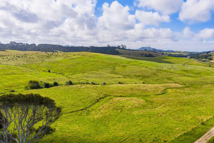 271 Pataua South Road Pataua South_22