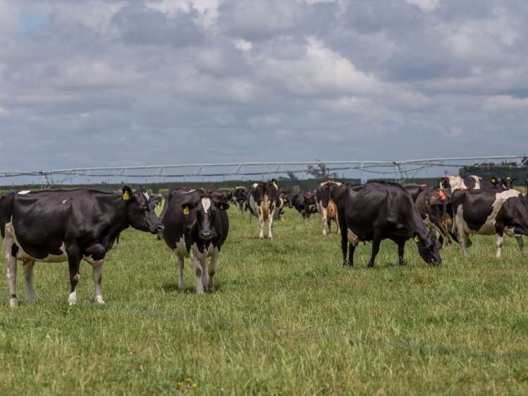 1287 Old South Road Bankside_21