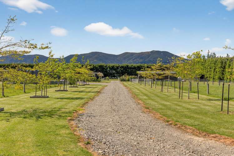 449 Ashley Road Cust_22