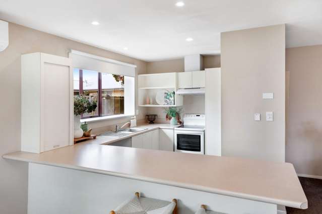 172A Langdons Rd Papanui_1