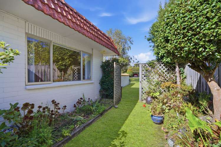 1/29 Aberdeen Road Castor Bay_12