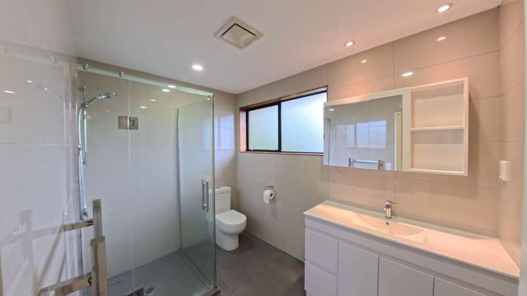 Dominion Road Mt Eden_7