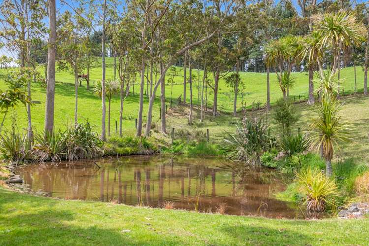 589 Inland Road Helensville_46