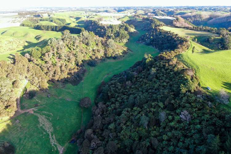 Maniatutu Road Pongakawa_30