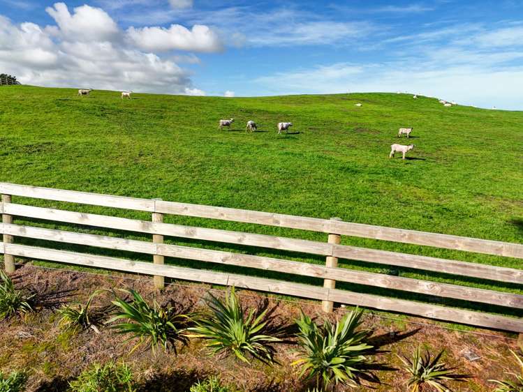 Holmwood Road Kaitoke_11