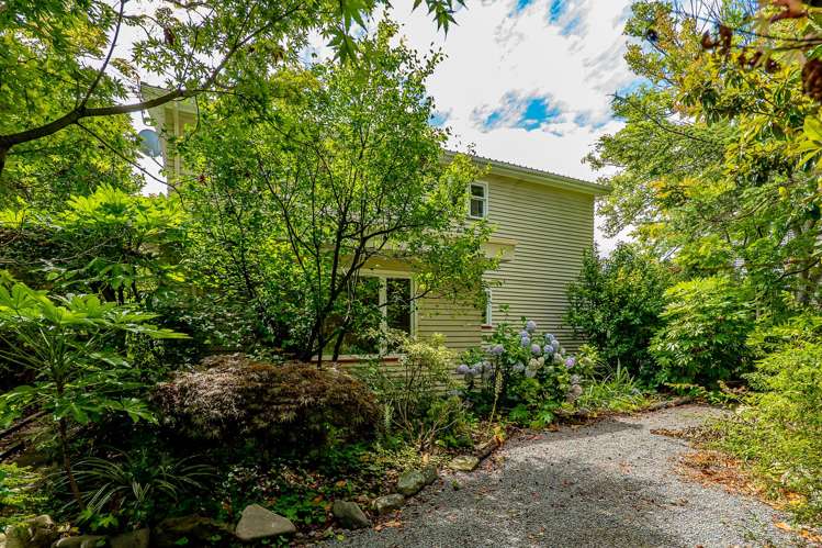 137 Heaton Street Merivale_19