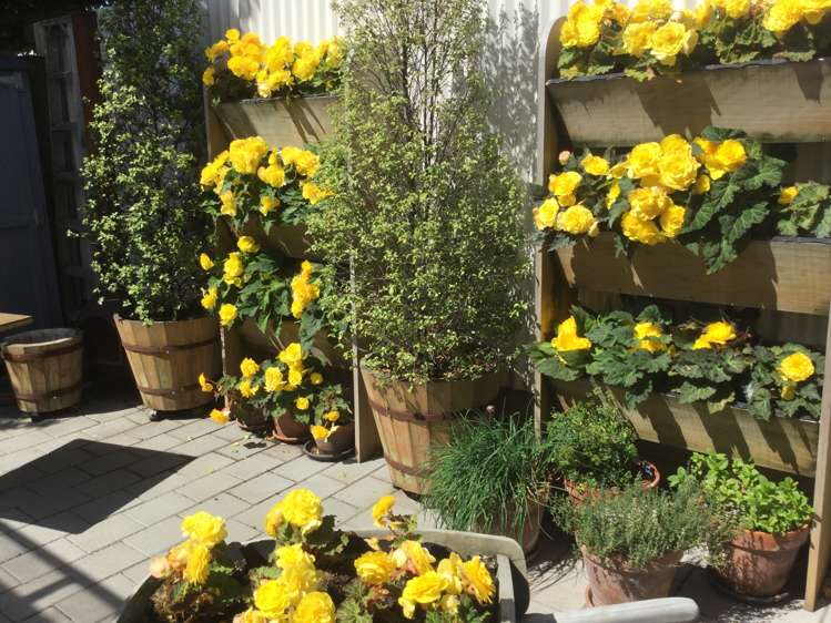 68e Thackeray Place Waltham_23