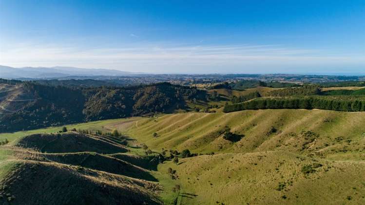 Win Valley Road Upper Moutere_2