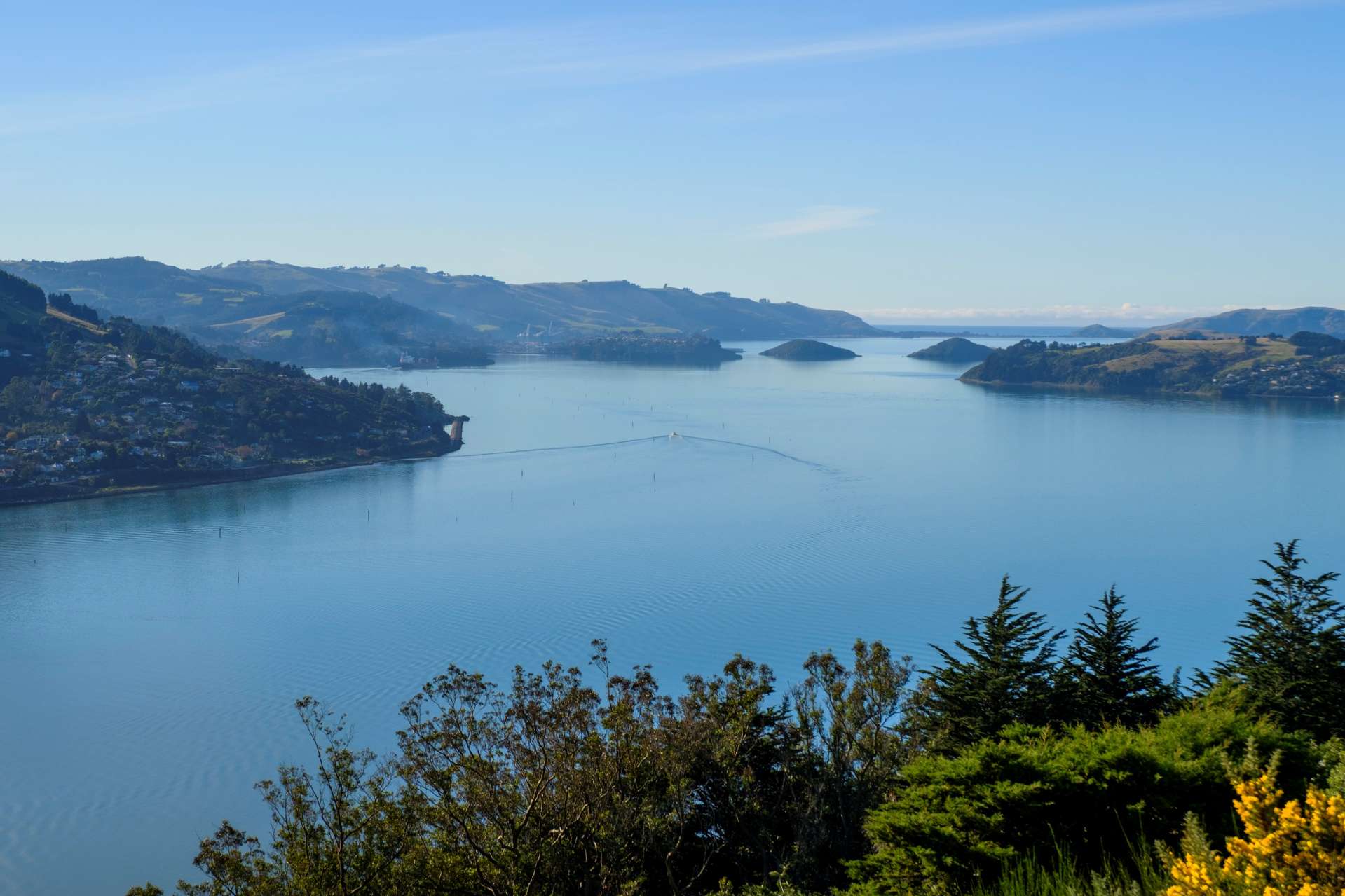 74 Connell Street Waverley_0