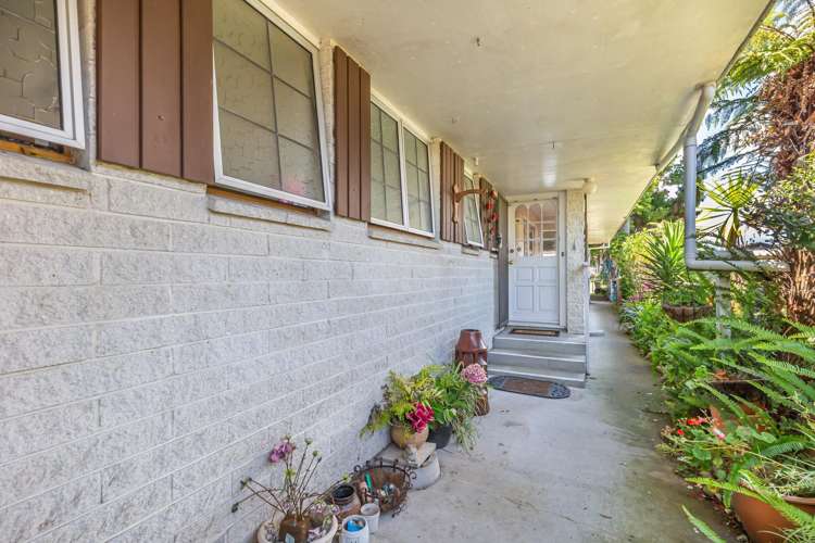 7 Avon Street Levin_19