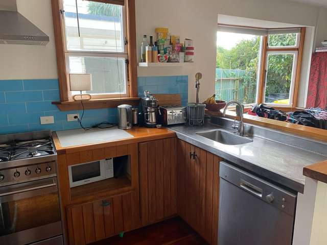 73A Pirie Street Mount Victoria_2