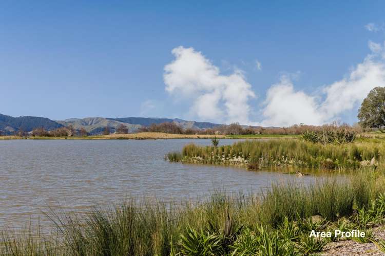 349 Rimu Street Te Kauwhata_29