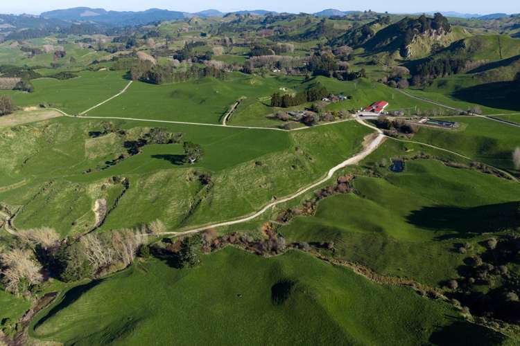471 Poutakataka Road Ngakuru_11