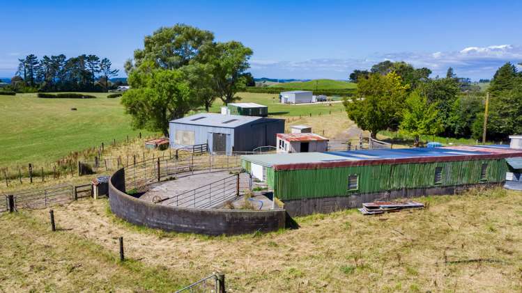 1256 Mangorei Road Mangorei_9