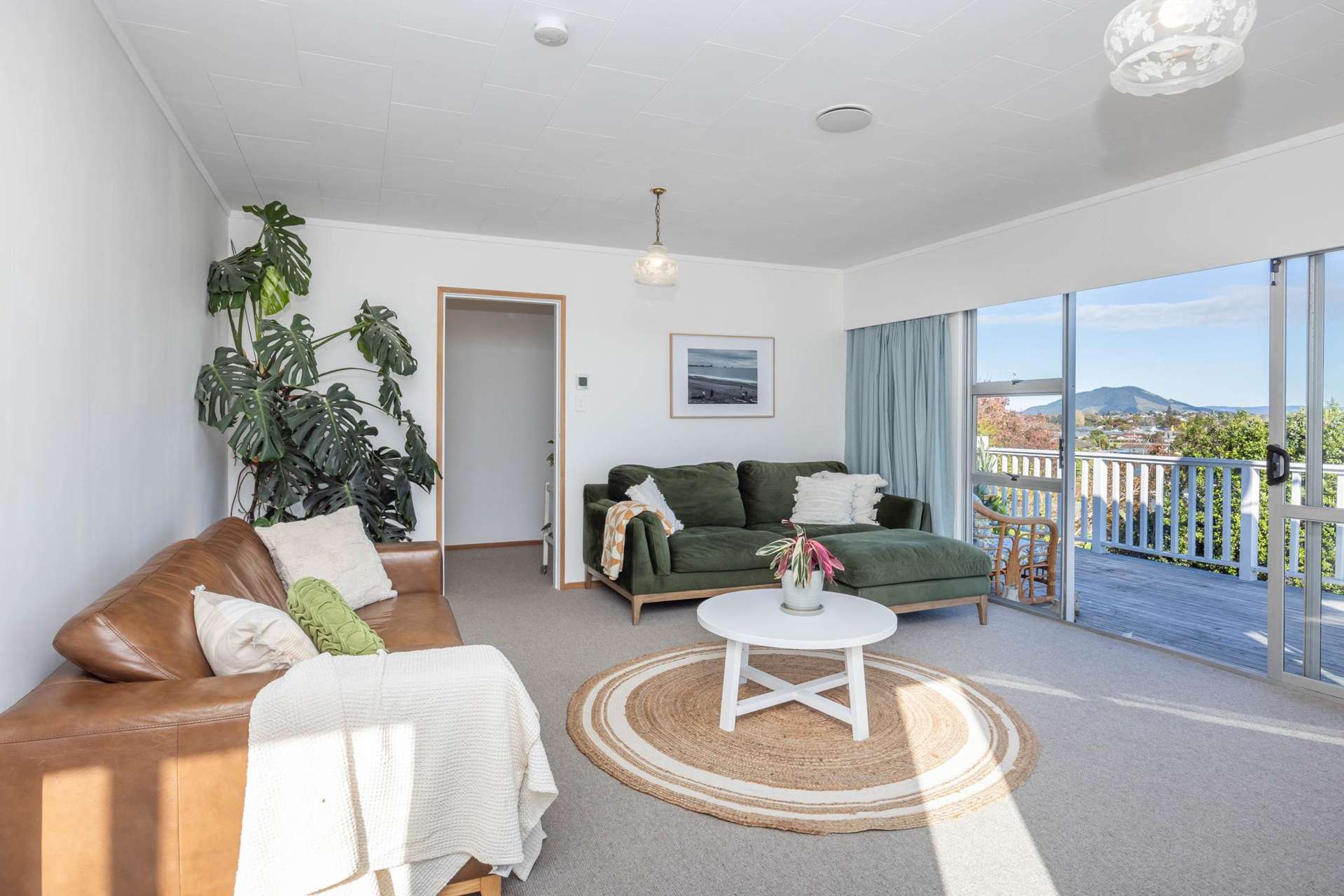 680 Picquet Hill Road Te Awamutu_0
