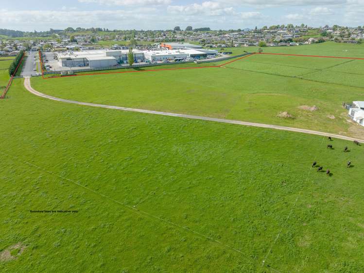 650 Cambridge Road Te Awamutu_10