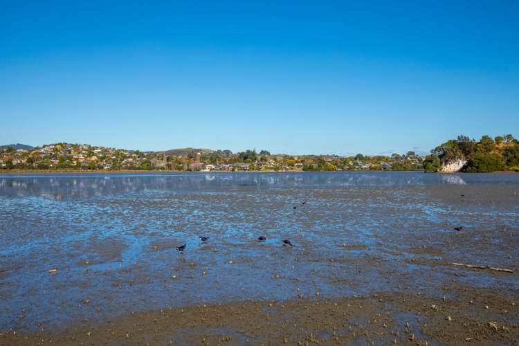 14 Ebbtide Way Maungatapu_9