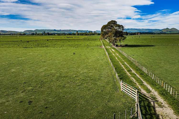 3637 State Highway 2 Takapau_3