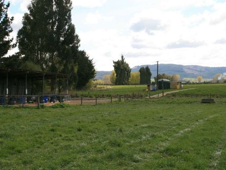 261 Middle Road Gore Surrounds_5